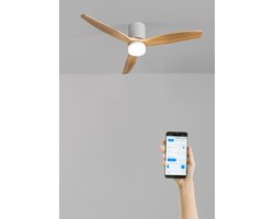 CREATE - Stille plafondventilator 40W Ø132cm 100% hout met aanpasbare gipsen behuizing - Met licht - WIFI + Afstandsbediening - WIND CALM CONCRETE