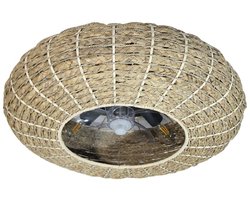 Plafondventilator met licht Cecotec EnergySilence LampAero 650 20 W 70 W