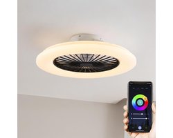 Plafondventilator Mira met afstandsbediening - TUYA en RGBWW