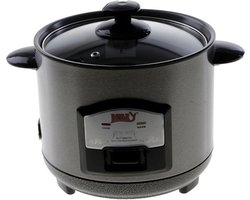 Bavary Rijstkoker CFXB-Y350 - 0.6 Liter - 2-4 personen - Inclusief maatbeker en lepel - 350W - Droogkookbeveiliging - Anti-aanbaklaag - RVS