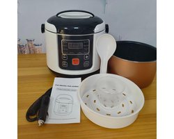 Compacte Mini Rijstkoker 2 Liter voor Auto en Thuis met Warmhoudfunctie