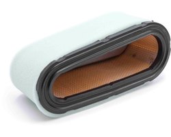 vhbw Vervangingsfilter 18,4 x 7,6 x 7,3 cm voor grasmaaiers zoals Briggs & Stratton 493909, 496894, 496894S