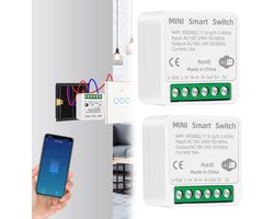 2X Slimme wiyiyi wiyifi schakelear-module 16a tuya smart life-app