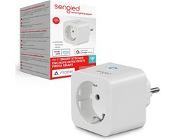 Slimme Stekker voor Spraakbesturing en Connectiviteit