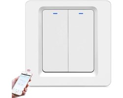 Slimme WiFi Lichtschakelaar met Spraakbesturing en Afstandsbediening - Draadloze 2-Pins Schakelaar voor Smart Home