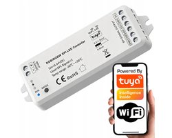 SPI RGBIC LED COB-controller SD-serie WiFi+RF TUYA