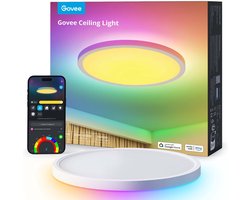 Govee Ceiling Light (12 inch)