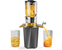 Equivera Sapcentrifuge - Sapcentrifuge - Sapcentrifuge voor Groente en Fruit - Juicer voor Groente en Fruit - Sap Machine - Sap Maker - Slow Juicer - Juicer - Elektrische Sap Pers