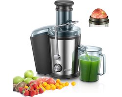 Roestvrijstalen Groenten en Fruit Juicer met 800W Motor, 75mm Vulopening en BPA-vrij Ontwerp - Gezond en Snel VERS SAP