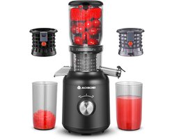 Slow Juicer voor Fruit en Groenten met Grote Vulopening en 2 Metalvrije Filters