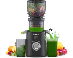 Slow Juicer voor Groenten en Fruit - 300 W Elektrische Sapcentrifuge