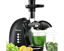 Slow Masticating Huishoud Juicer met 2 Snelheidsmodi Zwart