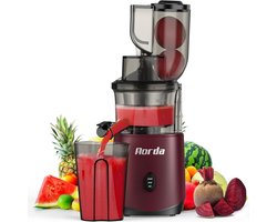 Slowjuicer Koudpers 200W – Stille Motor & Eenvoudig Reinigen – Sappers voor Groenten en Fruit