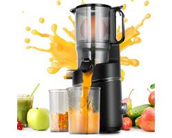 Slowjuicer – Sapcentrifuge – Juicer – Sapextractor – Slowmixer – Extra Brede 135mm Opening – Driedubbel Filtratiesysteem – 2L Grote Capaciteit – 250W Krachtige Motor – Silvery Variant