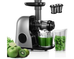 SNJY® Slowjuicer - Juice Maker - Extracteur De Jus - 220 V - Zilvergrijs