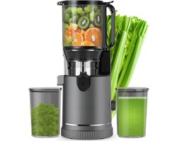 VH Supplies® Sapcentrifuge - Slowjuicer - Sapmachine - 1.8L - 400W