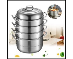 Stoompan 5-laags - RVS 304 - 9L Capaciteit - Voor Gas & Inductie - Inclusief Deksel - Multifunctionele Stomer - Gezond Koken - Duurzaam & Hittebestendig - Keukenpan met 3 Stoominzetten