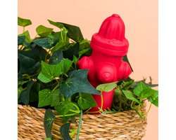 Brandkraan Bewateringssysteem van Fisura