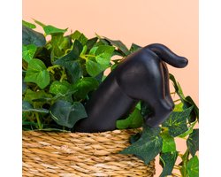 Hond Bewateringssysteem van Fisura