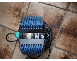 Nathura Action IPF 6