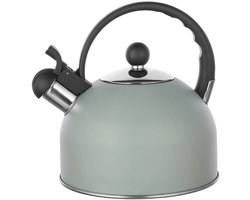 Altom Design Hot Drop Fluitketel 2,5 L - RVS - Mat Mint Groen - Geschikt voor Inductie & Alle Warmtebronnen