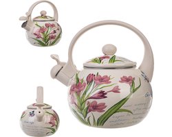 KADAX Waterketel, ketel van roestvrij staal, 2,2 l fluitketel, waterkoker voor inductie en gasfornuis, theeketel, emaille ketel, retro ketel met pijp (krokus)
