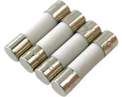 Mmgoqqt 4 Stuks - Zekeringen Keramische Zekeringbuis - 5x20mm Snelwerkend - 10A Universele Vervanging