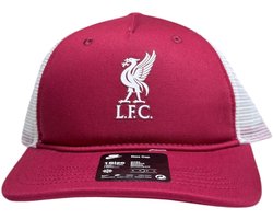 Nike Liverpool - Pet - Kinder - One Size