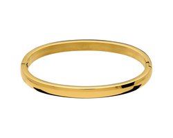 Lucardi - Kinder Stainless steel goldplated kinderbangle - Armband - Staal - Goudkleurig