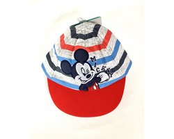 Mickey Mouse Pet - Baby - Grijs - 42 cm - 0-1 maanden