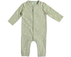 Babylook Dogs Boxpak - Mt. 56 - Mineral Gray