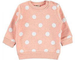 Baby/peuter sweater meisjes - Babykleding