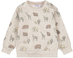 Dirkje Jongens Loose Fit Trui - Pebble