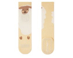 Antislip sokjes - Antislip Sokken Baby - Met antislip zool - BOTC - 2 Paar - Voor 0-36 maanden