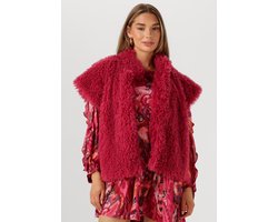 Studio Amaya Suvi Blazers Dames - Roze - Maat L