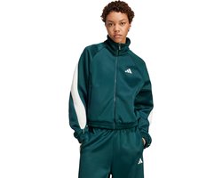 adidas Sportswear Stadium Sportjack - Dames - Groen