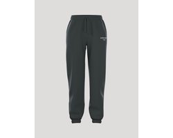 Björn Borg Essential 1 Joggingbroek Sportbroek Dames - Maat L - Urban Chic Groen - Vrouwen Joggingbroek