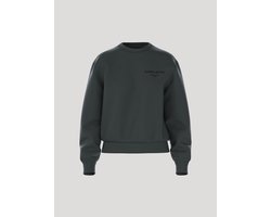 Björn Borg Essential 1 Trui Lange Mouw Dames Sweater - Maat M - Urban Chic Groen - Vrouwen Trui