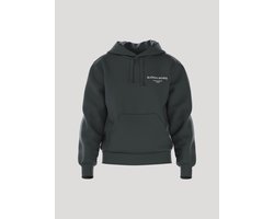 Björn Borg Essential 1 Trui Met Capuchon Dames Hoodie - Maat S - Urban Chic Groen - Vrouwen Trui