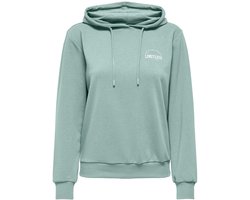 ONLY PLAY - cava life hood ls loose sweat - Training hoodie dames - Grijs