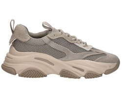 Steve Madden Possession Sneakers Laag - Taupe - Maat 37