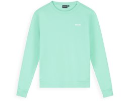 Ballin Amsterdam - Jongens Regular fit Sweaters Crewneck LS - Mint - Maat 12