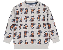 Dirkje Jongens Trui - Light grey