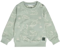 Dirkje Jongens Trui - Soft Sage