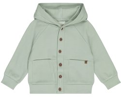 Dirkje Jongens Vest - Soft Sage