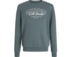 JACK&JONES - JJMAKOTO SWEAT CREW NECK JNR - Jongens - Sweaters