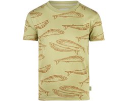 Koko Noko Jongens T-shirt - Faded green