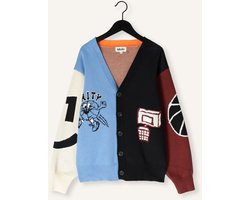 Molo Burt Truien & Vesten Jongens - Sweater - Hoodie - Vest- Multi - Maat 134/140