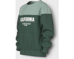 Name It kids jongens trui VEMIL Garden Topiary California Regular Fit