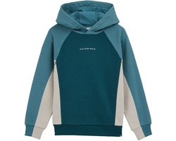 WE Fashion Jongens colourblock hoodie